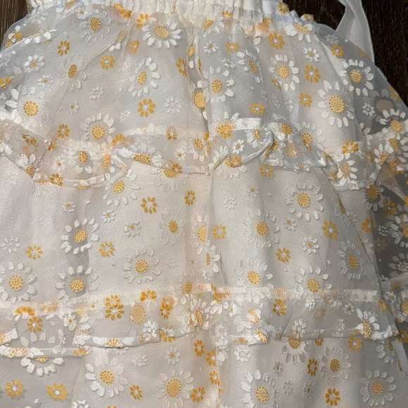 CHLOE AND AMELIE MARY MARY DRESS - DAISY FIELDS - Picture 3 of 5